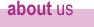 About ULPSNYC-Netzer